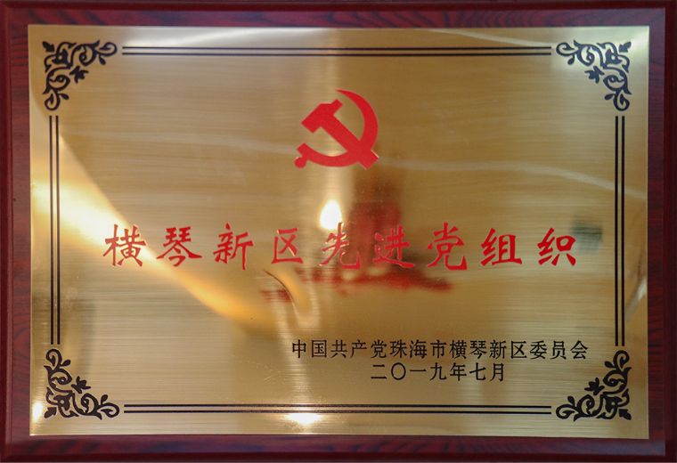 橫琴新區先進黨組織